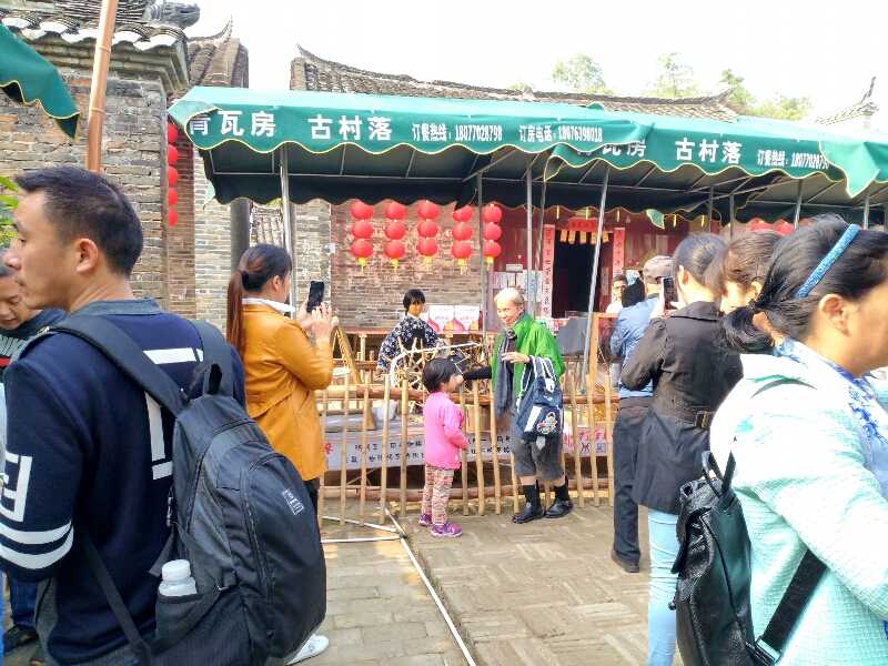 广西省南宁市青瓦房景区农耕文化、仿真昆虫、仿真动物、产品设计、制作、安装。